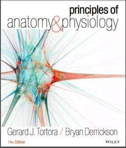 principles of anatomy and physiology by tortora pdf